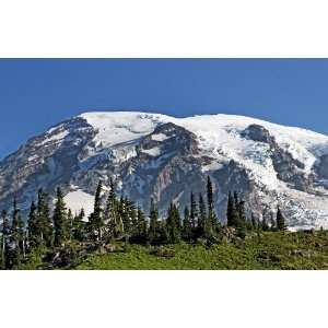  Imposing Mount Rainier, 14,410 Feet, Washington Cascades 