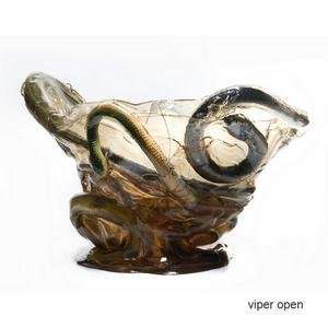  vipera open large vase by the campanas