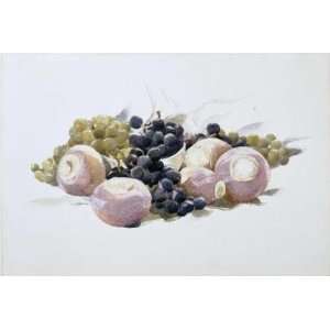   oil paintings   Charles Demuth   24 x 16 inches   Grapes and Turnips