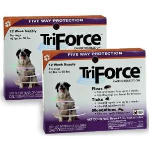  2 PACK   3 MONTH TriForce Orange for DOGS 40 60 lbs Pet 