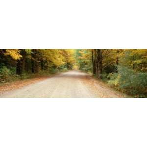 Road Passes through a Forest, Leland, Michigan, USA Photographic 