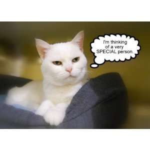  Sister White Cat Birthday Humor Card Health & Personal 