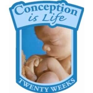  Conception is Life Pin   Twenty Weeks