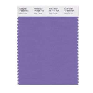  PANTONE SMART 17 3826X Color Swatch Card, Aster Purple 