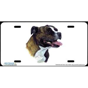 4269 Pitbull Dog License Plates Car Auto Novelty Front Tag by Robert 