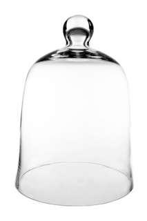 Cloche Bell Jar (2 pcs). Plant Terrarium Glass. H 11.75, Bottom 