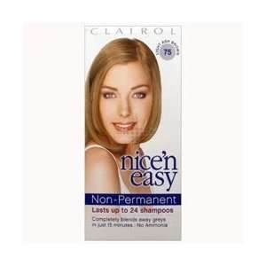  Clairol Nicen Easy Lasting Colour Hair Colour Light Ash 