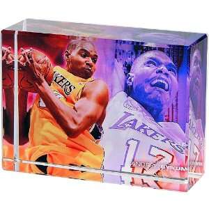  Los Angeles Lakers Andrew Bynum Action Image Block
