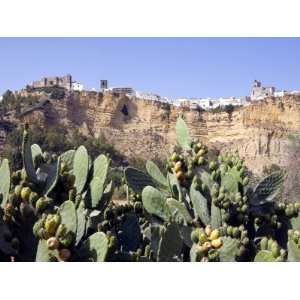  Arcos De La Frontera, One of the White Villages, Andalucia 