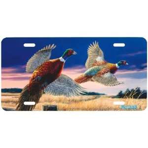  5297 Pheasants Over Grass License Plate Car Auto Novelty 