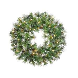  24 Brushed Mountain Fir Wreath x100 w/50 Clear Lights Two 