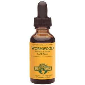  Wormwood Herbal Extract Beauty