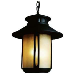 Trans Globe Lighting 5956 BK 17 1/2 Inch 2 Light Outdoor Large Hanging 