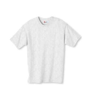  Hanes Authentic Tagless TShirt