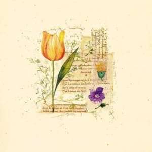  Audra Chaitram   Flower Notes With Orange Tulip Canvas 