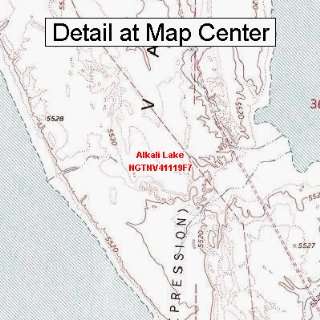  USGS Topographic Quadrangle Map   Alkali Lake, Nevada 