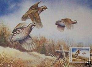 82 Quail Conservation Stamp & Print by Allen Hughes  