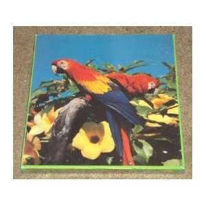  Birds of Paradise 551 piece Jigsaw Puzzle 