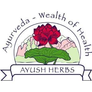 Ayush Herbs Wright Salt  Grocery & Gourmet Food
