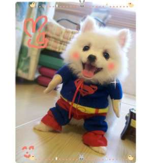   cool Pet Dog Clothes Costumes Superman Super man Suit size XS/S/M/L/XL