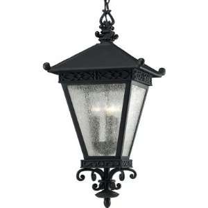  Abby Court Hanging Lantern in Black