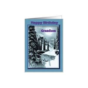    Happy Birthday / Grandson / Wolf in winter scene Card Toys & Games