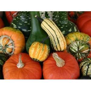  Autumn Colors Abound in This Stack of Pumpkins and Squash 