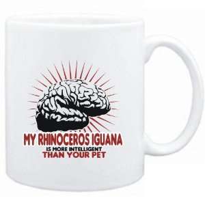   Iguana is more intelligent than your pet  Animals