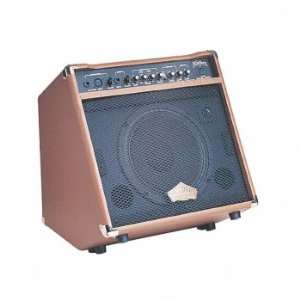  Washburn WA30 Acoustic Amplifier Musical Instruments