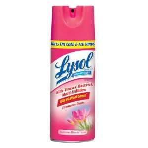 Lysol 2922 12 Ounce. Summer Breeze Disinfectant Spray (Case of 12 