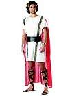 Mens Costume Greek Roman Emperor Toga Party Outfit  