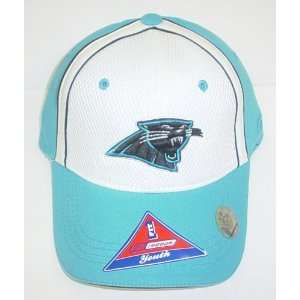  Carolina Panthers Wild & Out Structured Flexfit Reebok Hat 