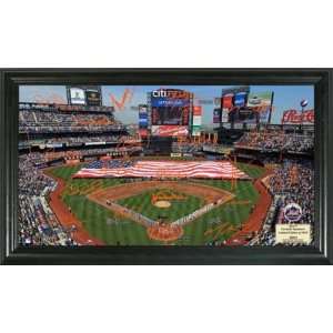  New York Mets Citi Field MLB Baseball Signature Field 