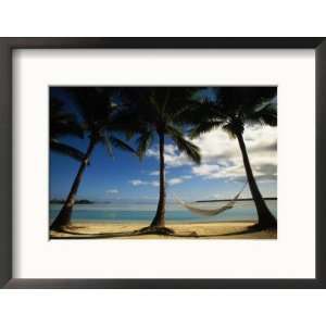  Palms and Hammock, Aitutaki, Cook Islands Photos To Go 