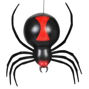  Dropping Black Widow Spider