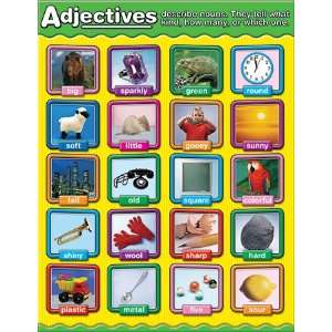  17 Pack CARSON DELLOSA ADJECTIVES PHOTOGRAPHIC CHARTLETS 
