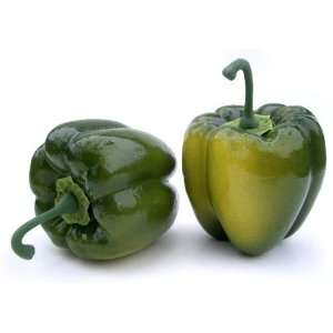  Artificial Green Bell Pepper, Box of 6 