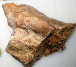 PIECE (3+LBS) MULTI COLORED PETRIFIED WOOD ROUGH  