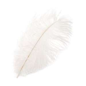  Zucker Feather Ostrich Feather 1/Pkg White B804 W; 6 Items 