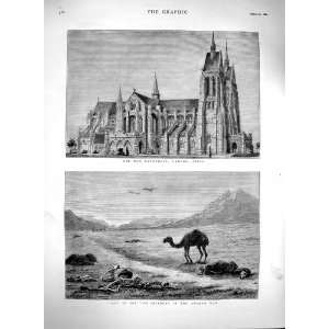    1880 Cathedral Lahore India Afghan War Dead Camels