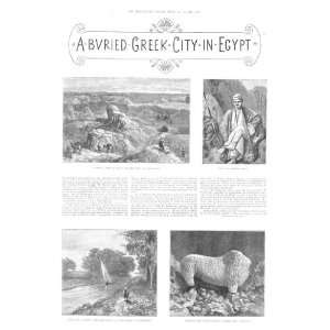  Greek City Buried Egypt