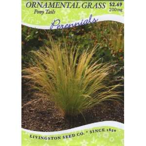  Ornamental Grass   Pony Tails (Perennial) Patio, Lawn 