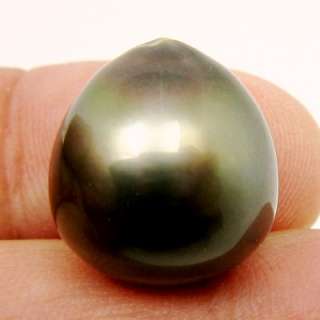 ENORMOUS METALLIC GRAY TAHITIAN PEARL  16.8x15.7mm/5.9g  