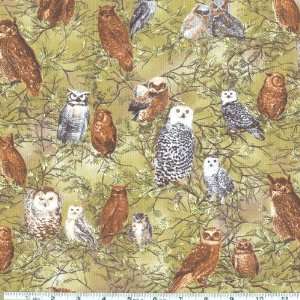   The Last Frontier Owls Green Fabric By The Yard Arts, Crafts & Sewing