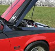 79 98 Ford Mustang Hood Lift Strut Shock Cobra Damper  