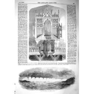    1856 ORGAN ABBEY CHURCH SHERBORNE WATERSPOUTS MALTA