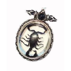 Real Insect Necklace Black Scorpion (silver)