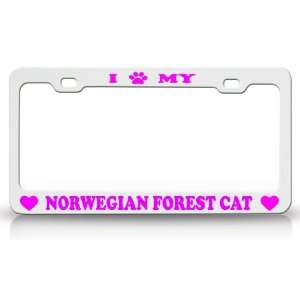 PAW MY NORWEGIAN FOREST Cat Pet Animal High Quality STEEL /METAL 