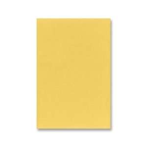   Construction Paper   Other Color   PAC103640 Arts, Crafts & Sewing