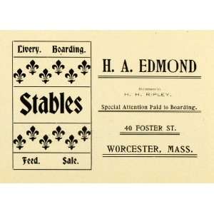  1898 Ad H A Edmond Boarding Stables H H Ripley Foster St 